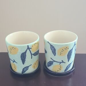 2 Pavo Planter | Patterned Ceramic Planter